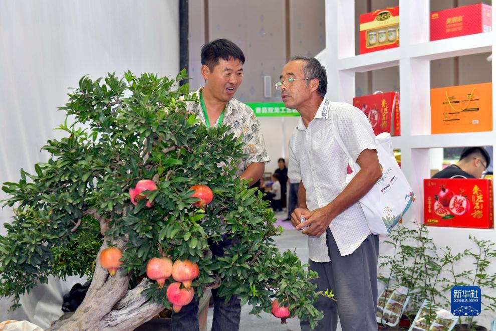 奔驰宝马娱乐